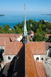 Roof and tower of Constance church and boden lake