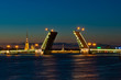 Night view of Palace Bridge, Saint Petersburg, Russia