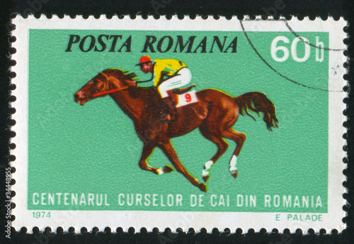 Photo: horse races horse races