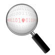 Zoom on a malicious binary code