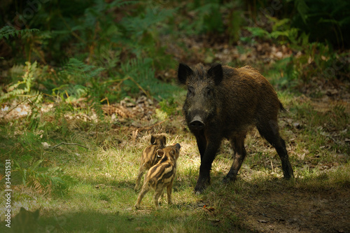 photo par wojciech nowak