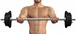 Illustration: weightlifting weightlifting