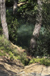 Area of the Seven Springs