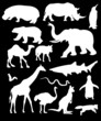 collection of wild animals silhouette - vector collection of wild animals silhouette - vector