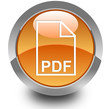 PDF glossy icon PDF glossy icon