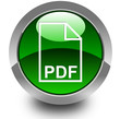 PDF glossy icon