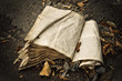 Old dirty open book lying on the ground