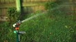 Video: Watering garden Watering garden