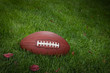 Football on the grass Football on the grass
