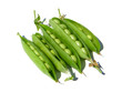 fresh Pea Pods from own garden  on white
