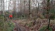 Jogger im Wald
