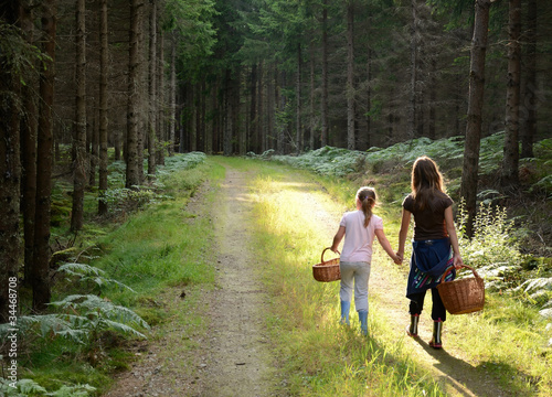 Photo: We are going to pick mushrooms We are going to pick mushrooms