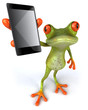 Grenouille Et Smartphone
