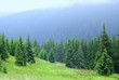 Landscape with fog Landscape with fog