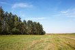 Beautiful view on field and forest Beautiful view on field and forest
