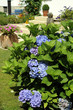 Garten_6620