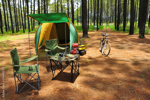 Photo: camping in pine forest camping in pine forest