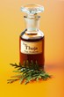 Photo: Thuja Occidentalis plant and extract Thuja Occidentalis plant and extract