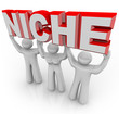 Niche Marketing Team of Customers with Unique Needs