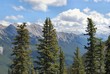 Trees and mountains in Banff National Park, Canadian Rockies Trees and mountains in Banff National Park, Canadian Rockies