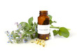 Borage oil Borage oil
