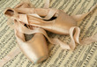 Ballet Slippers