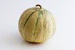 Melon