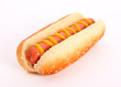 hot dog