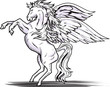 Pegasus