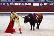 Traditional corrida - bullfighting in spain