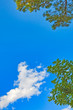 il cielo