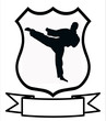 Karate Sport Shield