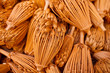 Close-up of dried dill flower bulbs