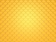 gold fish pattern