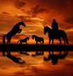 Silhouette cowboy with horses in the sunset
