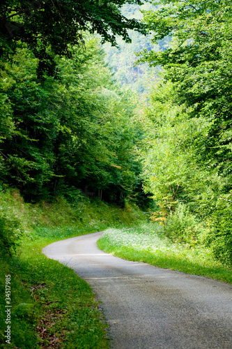 Photo: Petit chemin Petit chemin