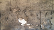 Feuchte Sandsteinwand