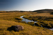 Landscape of Aubrac in Lozere