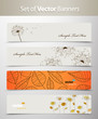 Set of nature web headers.