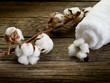 cotton towel- spa concept cotton towel- spa concept