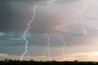Arizona Lightning 2011a