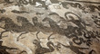 Ancient Roman Neptune in Chariot Mosaic Floor Ostia Antica Rome Ancient Roman Neptune in Chariot Mosaic Floor Ostia Antica Rome