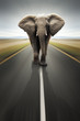 Conceptual - Heavy duty transport / travel by road