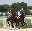 Horse racing.