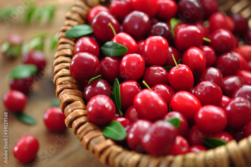 Photo: Cranberries Cranberries