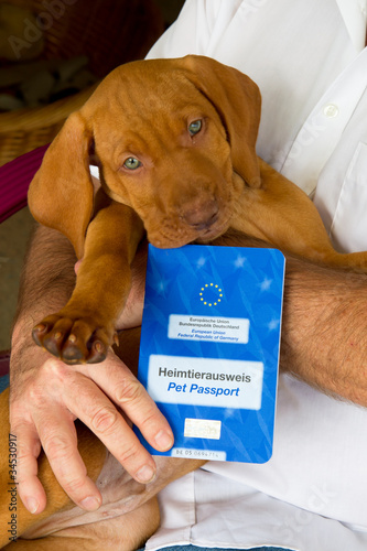 Foto: EU Heimtierausweis EU Heimtierausweis