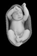 Newborn baby boy
