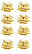 Gold Jubiläum Button Set