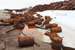 Foto: Rusty fuel and chemical drums on Arctic coast Rusty fuel and chemical drums on Arctic coast