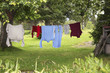 Clothes hanging on clothesline  to dry